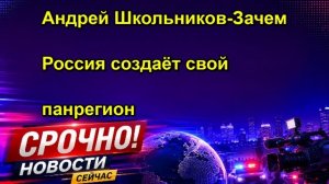 Андрей Школьников Зачем Россия создаёт свой панрегион