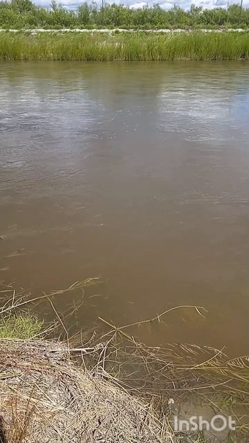 Жертва Норнам