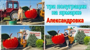 Едем с Таней и Олей на ярмарку. Три полуграции на прогулке!😁 Едем в Плодовое! Ремонт - Ейск♥️