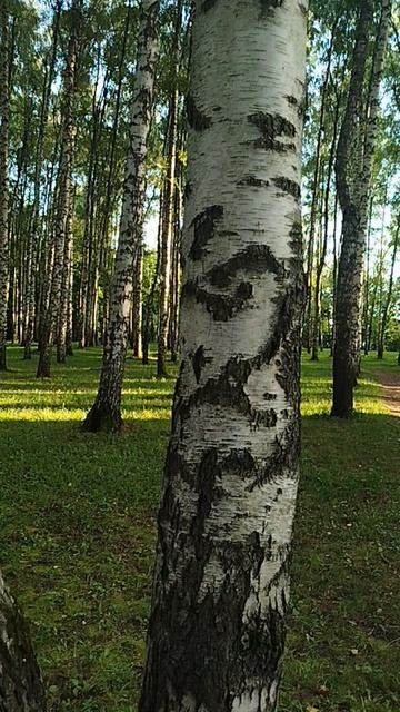 Руны Хагалаз и Альгиз ᚺᛉ + красота момента