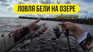 | Мормышинг на озере | Поиск рыбы и подбор проводок |