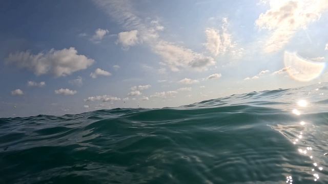 1000162516.mp4