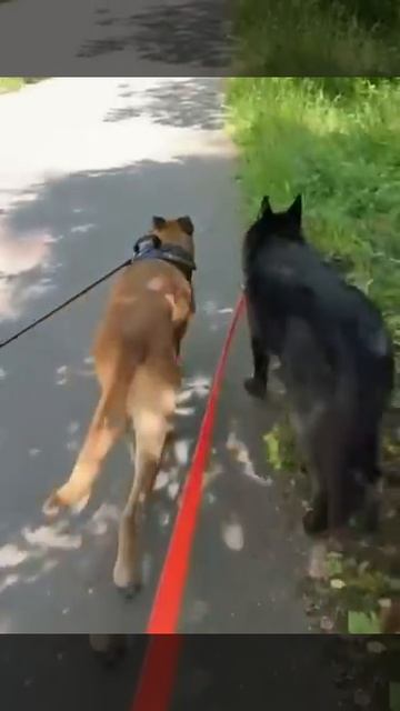 Берри уехала домой❤️