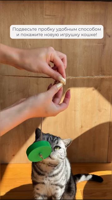 Съедобная игрушка🐱