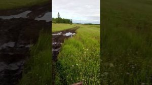 покатушки