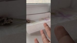 Обзор на «хижину» Аси)