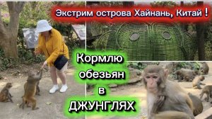 Остров обезьян на Хайнане в Китае.