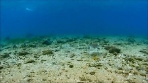 2015-05-10 Красное море