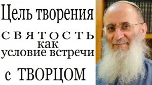 2021 Цель творения. Святость как условие встречи с Творцом. Рав Ури Шерки