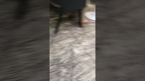 мы не можем уехать из Москвы