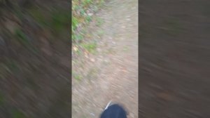 гуляем вместе с собакой Андрюхи бро