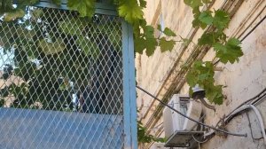 Ваши имена и письма в монастырь Пантелеймона Целителя на храмовый праздник
