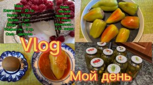 Мой день ☕️ Фарширую болгарские перцы с булгуром🫑Банановый кекс 🎂 Маринованные огурцы от Наташи 🥒