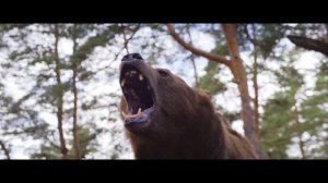 Отпустил — значит, не твоя (кф. Батя 2. Дед)