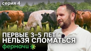 Бизнес на ангусах |  Ангусы и герефорды | Мясное скотоводство | Серия 4 | Фермачи