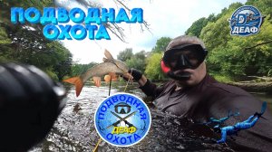 ДЕАФ ПОДВОДНАЯ ОХОТА 11.08.2026 Река Болва