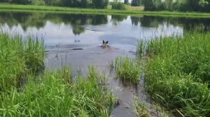 Прогулка на озеро с водными процидурами