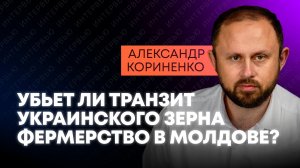 Молдавский политолог: пойдет ли украинское зерно через Молдову и приведет ли к протестам фермеров