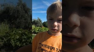 1000000178.mp4
