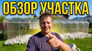 Мой участок без прикрас: теплицы, ошибки, компост и гибнут яблони