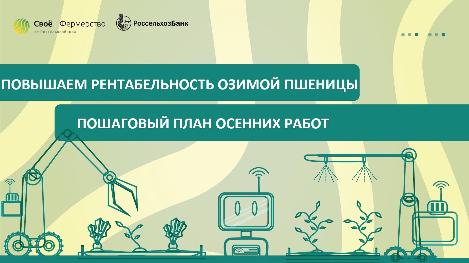 Повышаем рентабельность озимой пшеницы: пошаговый план летне-осенних работ