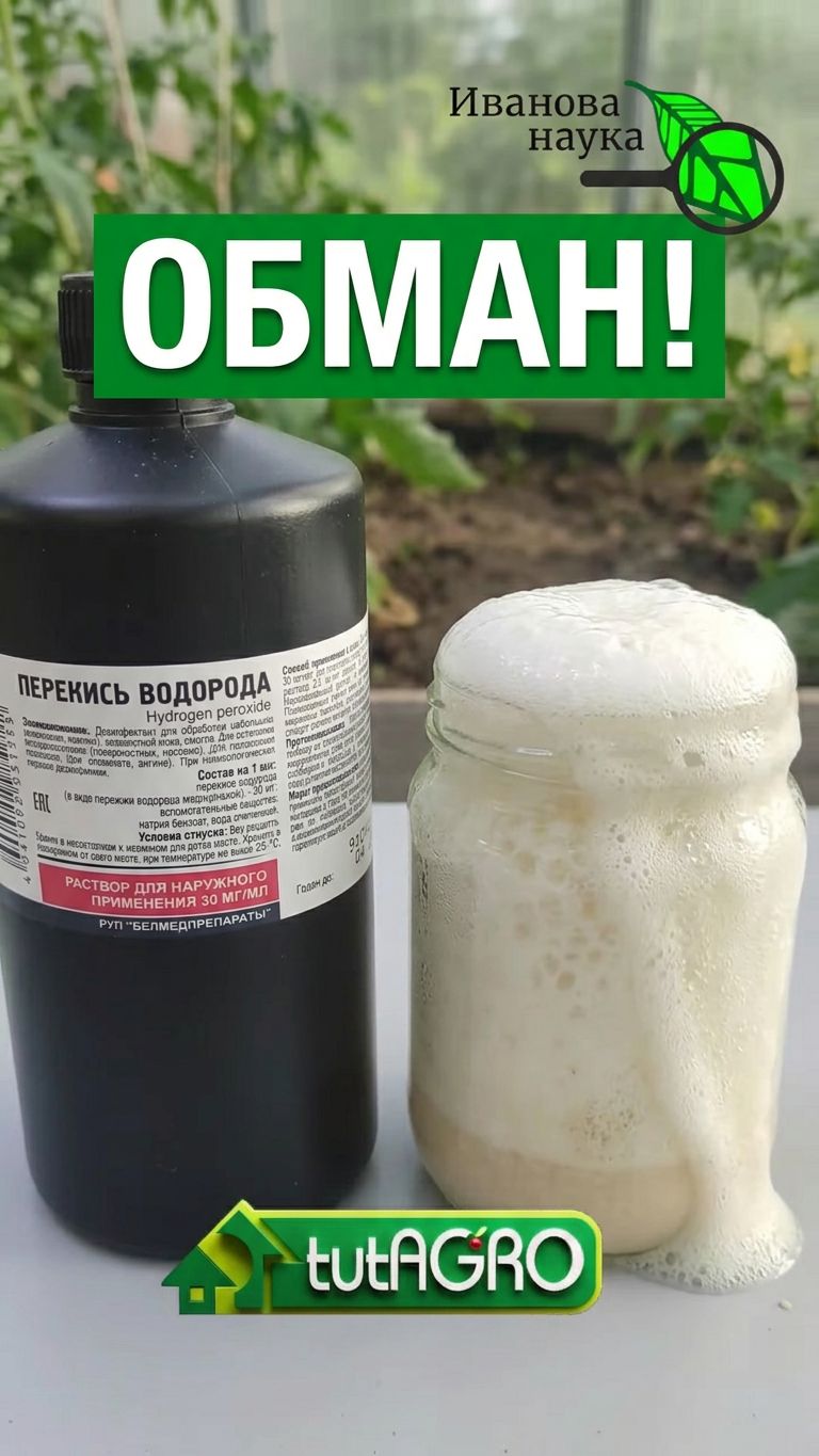 🛑 Как вас ОБМАНЫВАЮТ продавцы! 🤯 Срочно проверь это за 1 секунду