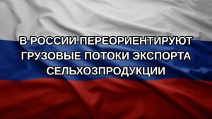 В России переориентируют грузовые потоки экспорта сельхозпродукции