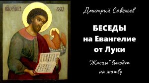 Беседы на Евангелие от Луки 9:1–9. «Жнецы» выходят на жатву (Дмитрий Савельев)