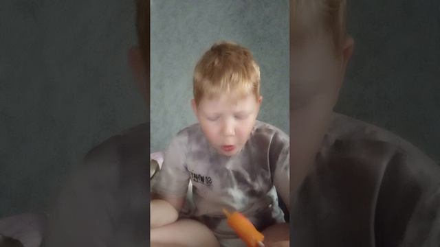 фруктовый лёд
