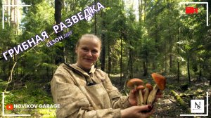 Грибная разведка 11 августа 2026. Всеволожский район.