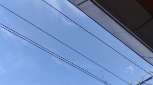 12 августа магический ☀️ подарок от волшебника Ивана Ивановича Кулебякина из Москвы