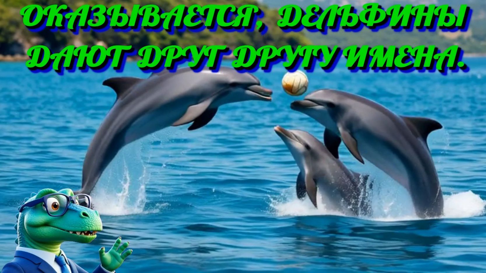 Оказывается, дельфины дают друг другу имена.