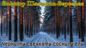 Новинка! Песня в Душу! ЧЁРНЫМИ СВЕЧКАМИ СОСНЫ И ЕЛИ - ВИКТОР ШАМОНИН - ВЕРСЕНЕВ