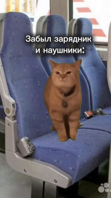 Типы активистов в автобусе на Южный фестиваль