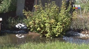 Вода не уходит: жители улиц Ломоносова и Суворова в панике из‑за подтопления