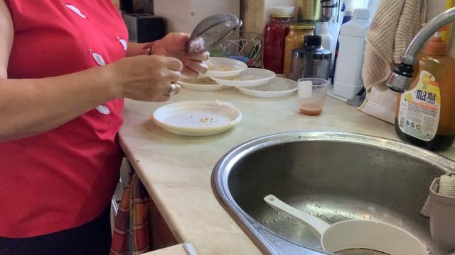 Промываю вот так семена коллекционных томатов.