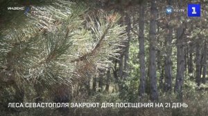 Леса Севастополя закроют для посещения на 21 день