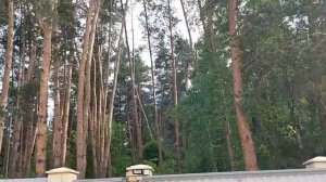 ПРИЗВАТЬ ДЕНЕЖНЫХ КЛИЕНТОВ НА МЁД... ОЧЕНЬ СИЛЬНО. ДЛЯ ВСЕХ. ВЕДЬМИНА ИЗБА. ИНГА ХОСРОЕВА.