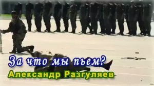За что мы пьём? Александр Разгуляев.