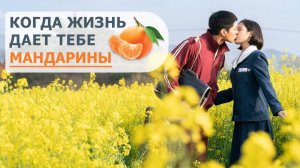 Когда жизнь даёт тебе мандарины - 1 сезон, 10 серия  (сериал, 2025) / Pokssak sokassuda