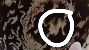 Верблюд в чашке устал 🐫Знак на кофе и как помочь себе встать на верный путь..