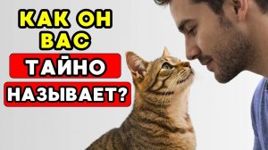 У вашего кота есть для вас ТАЙНОЕ ИМЯ — узнайте какое!