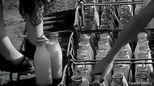 1969 год. Тюмень. Выездная торговля молоком