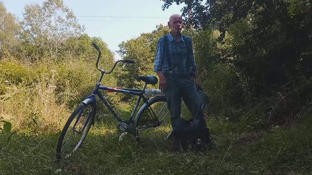 Лесная лихорадка и домашняя реальность