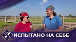 Испытано на себе: День фермера   2 часть