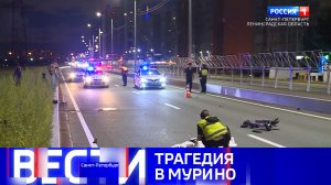 Вести Санкт-Петербург. Выпуск 09.30 от 12.08.2026