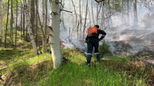 Пожары в Казахстане и тепло в Беларуси. Погода в СНГ бьет новые рекорды