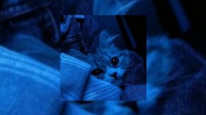 прикольные песни из тик ток ( speed up )