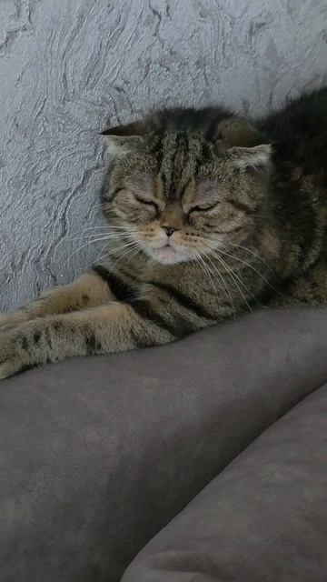 Муся 