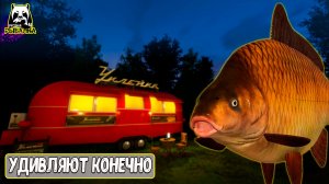Иногда конечно такой клёв удивляет #рр4